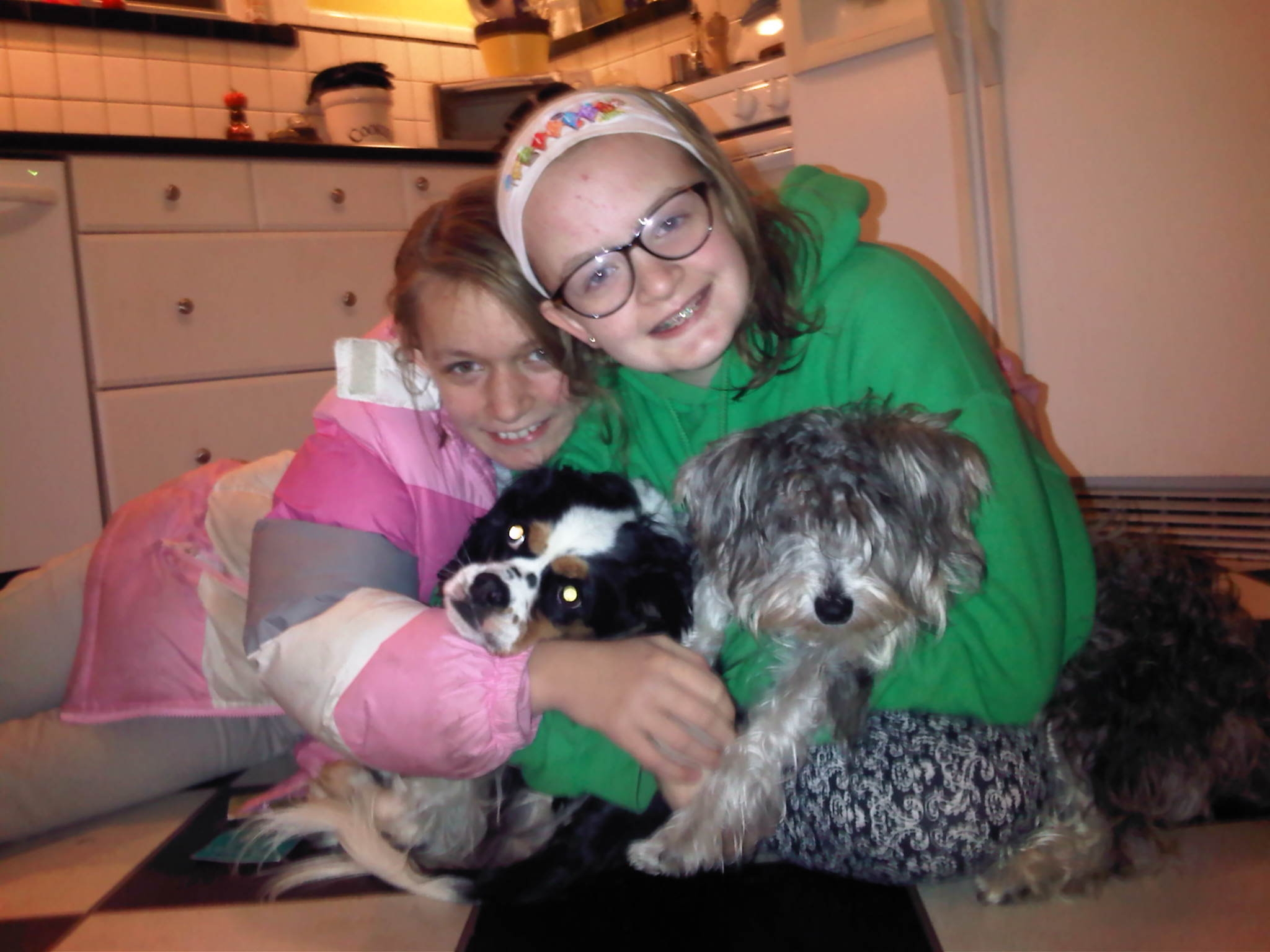 2014-12-06 kitchen Dog pile.jpg